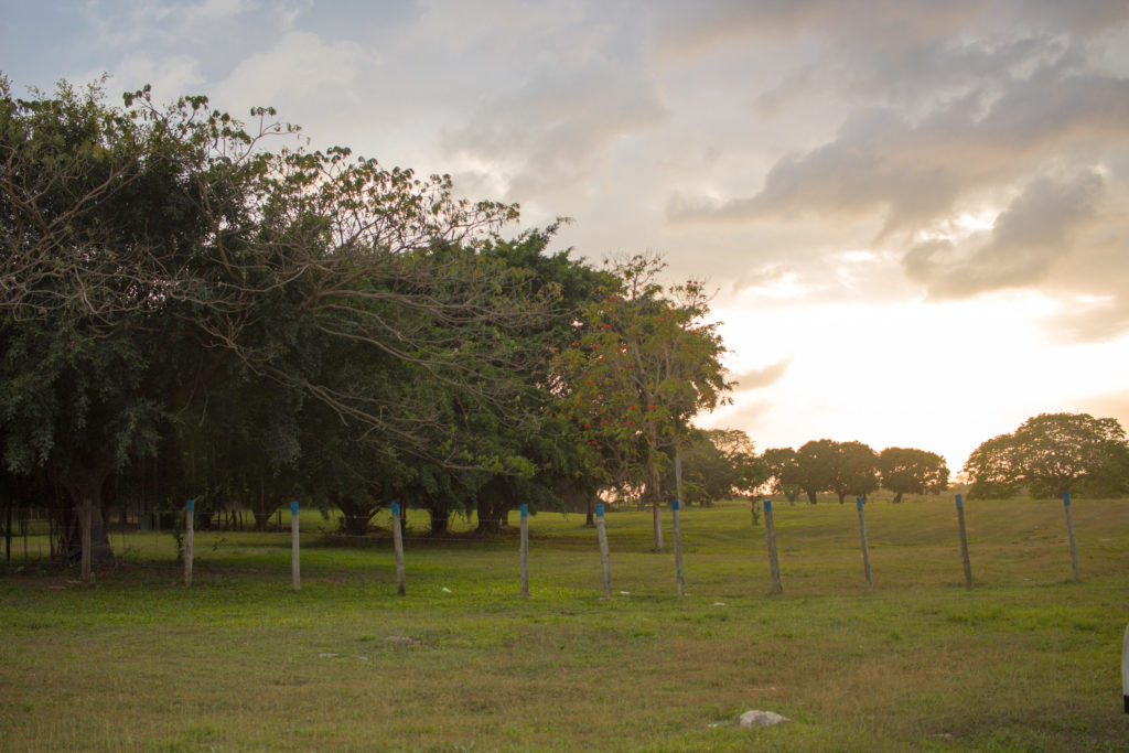 Hodges Aggregates and Powders Limited