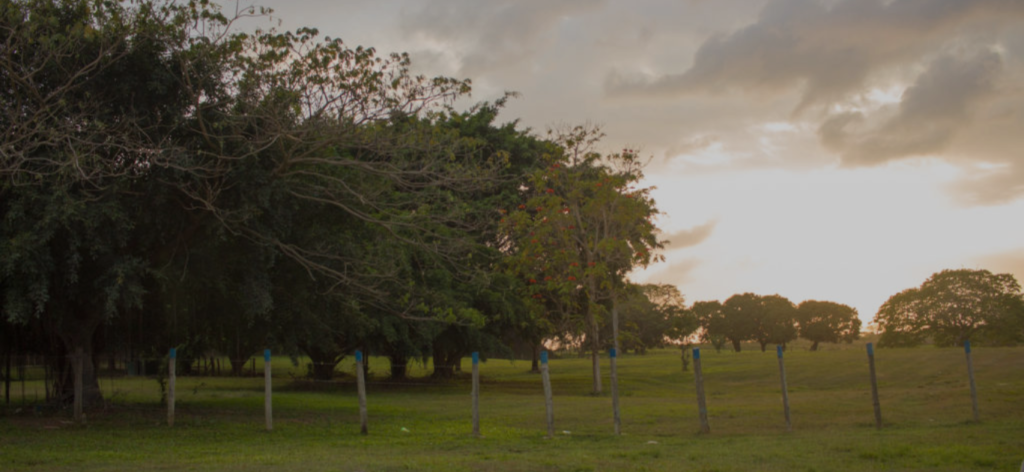 Hodges Aggregates and Powders Limited